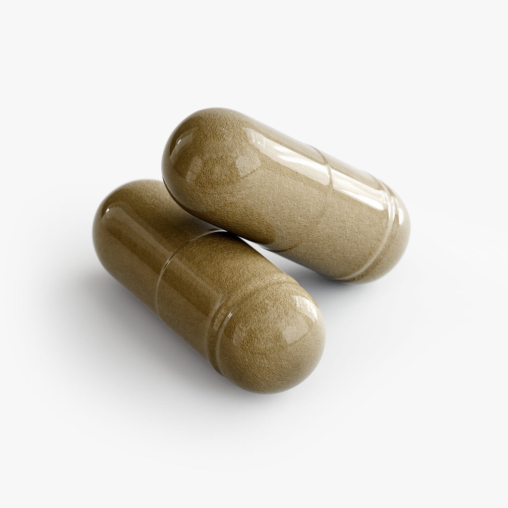 Ginkgo Biloba + Ginseng - ForzaPure
